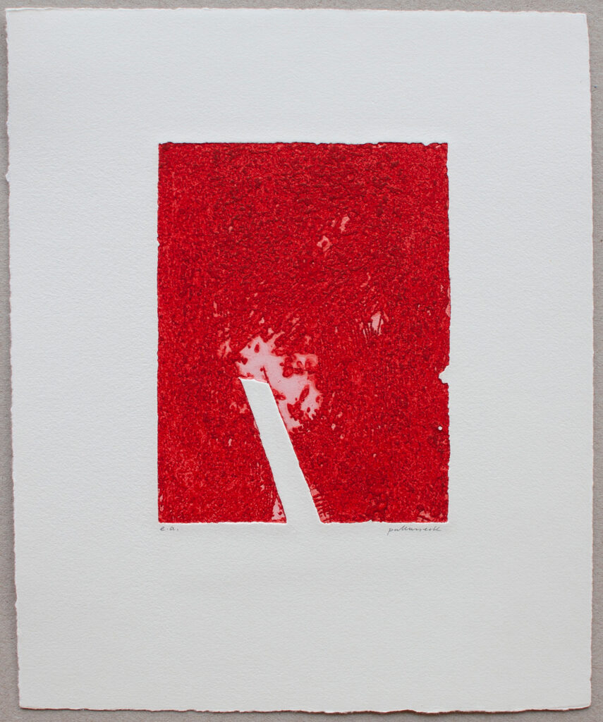 k&uuml;nstlerische Druckgrafik von Raimund Pallusseck, L&uuml;beck, Germany